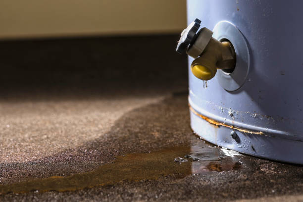 Best Professional water damage repair  in Statham, GA
