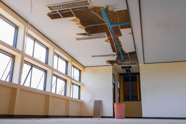 Best Water damage contractors near me  in Statham, GA