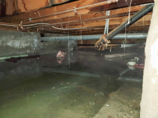 , GA Water damage restoration Company