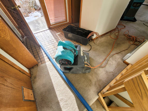 Best 24/7 water damage repair  in Statham, GA