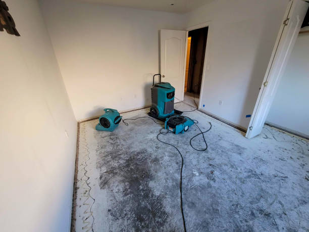 Best Sewage cleanup and water damage restoration  in Statham, GA