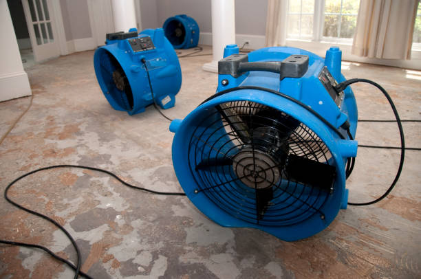 Best Water damage restoration near me  in Statham, GA