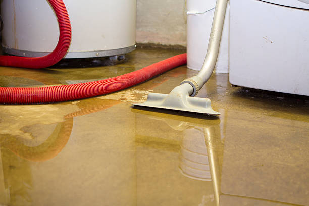 Best Local water damage restoration  in Statham, GA