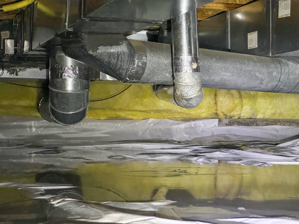 Best Flood damage cleanup  in Statham, GA